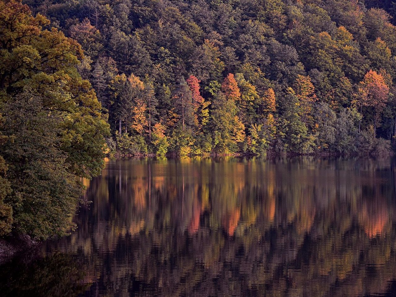 Conducir hacia el lago helado